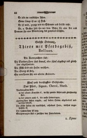 Sechste Ordnung, Thiere mit Pferdegebiß, Belluae.