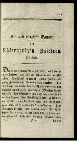 Ein und vierzigste Gattung der Käferartigen Insekten. Nitidula.
