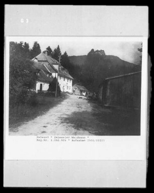 Zwiesler Waldhaus