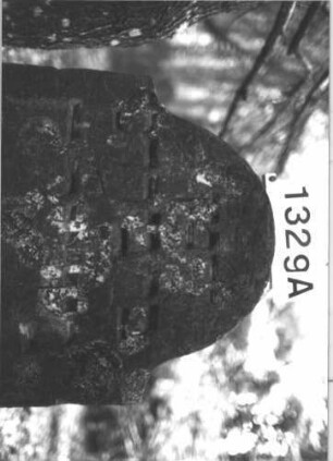 Grabstein 1329 (Index: 99900218) Material: Sandstein Zustand: stark verwittert, Zerstörungsspuren: Stein durchgebrochen, wieder zusammengesetzt Maße HxBxT: 107x61x15 cm Beschreibung: Stele mit Konvexbogenabschluss, Oberrahmen mit Zahnfries, an den Einzügen Sternblüten, seitliche Rahmen als Säulen gearbeitet, Stein im unteren Drittel horizontal durchgebrochen und wieder zusammengesetzt Symbolik: Zahnfries, Sternblüten: Grabstein 1329A