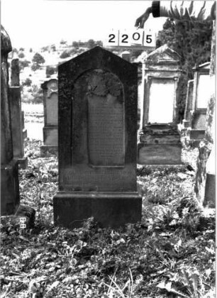 Grabstein 2205 (Index: 100097246) Maße HxBxT: 130x51x24 cm Symbolik: Eichenlaub: Grabstein 2205
