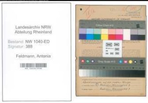 Entnazifizierung Antonia Feldmann , geb. 31.03.1901 (Lehrerin)