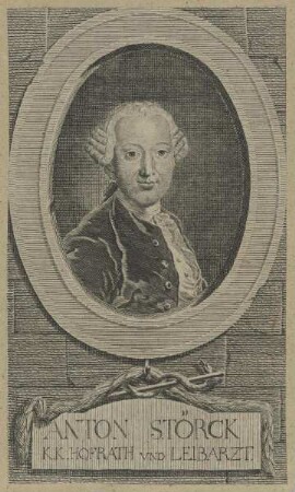Bildnis des Anton Störck