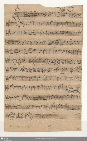 Viola 2da.