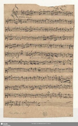 Viola 2da.