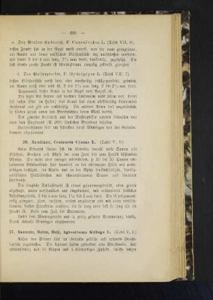 26. Kornblume, Centauréa Cýanus L. (Tafel V, 9.)