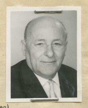 Friedrich Sauer