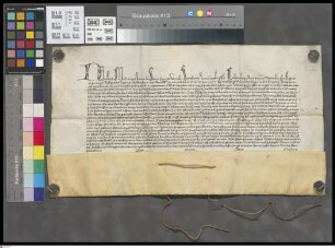 Bingen: Dispensatio et Absolutio Johannin Koele presbiteri plebani St. Martini pinguensis ratione plebani ac praestitorium reddituum