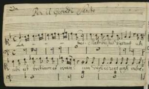Lamed matribus suis dixerunt; S, bc; e-Moll