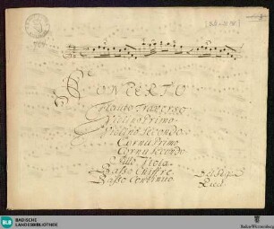 Concertos - Mus. Hs. 764 : fl, orch, bc; D; GroF 802 GroF 420