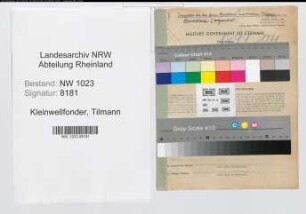 Entnazifizierung Tilmann Kleinwellfonder , geb. 26.03.1900 (Sparkasseninspektor)