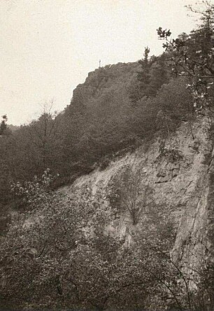 Triebischtal bei Meißen. Gebüsch- und Felsrift auf Pechstein. Götterfelsen