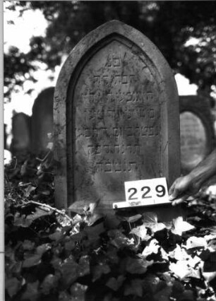 Grabstein 229 (Index: 100085039) Maße HxBxT: 131x50x24 cm Beschreibung: Stele, Sockel, Spitzbogenabschluß, Schriftfeld eingetieft auf Vorderseite: Grabstein 229