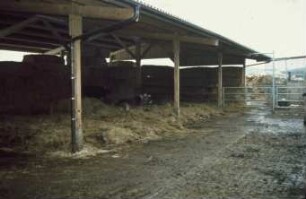 Fotografie: Milchviehhaltung, Stallsystem, Liegehalle, Laufhof