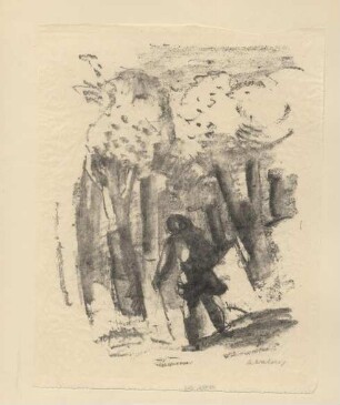 Der Wanderer