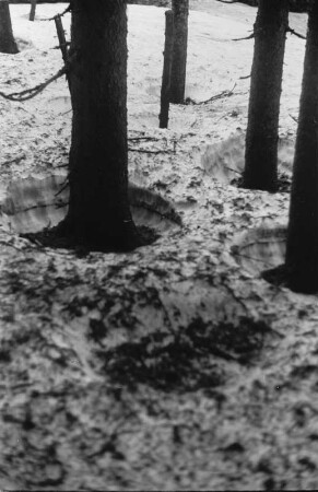 Schneeschmelze : Trichterartige Schneeschmelzerscheinungen in einem Wald