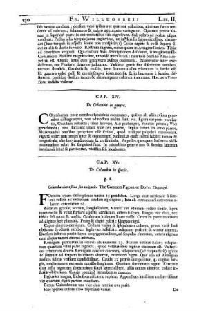 Cap. XIV. De Columbis in genere