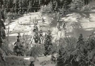 Osterzgebirge. Stark verschneiter Hang zwischen Geising und Zinnwald