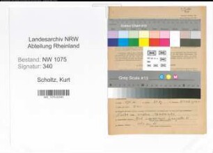 Entnazifizierung Kurt Scholtz , geb. 25.03.1888 (Arbeiter)