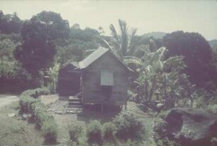 Reisefotos. Hütte mit Bewohnern vor Palmen (vielleicht auf Haiti)