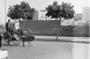 Straße in Tripolis : Eselskarren in einer Straße in Tripolis