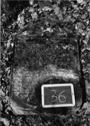 Grabstein 36 (Index: 100090635) Material: Sandstein Zustand: beschäd. /verwittert mit Textverlust Maße HxBxT: 0x0x0 cm Beschreibung: Stele, Konvexbogenabschluß: Grabstein 36