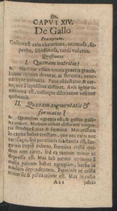 Caput XIV. De Gallo