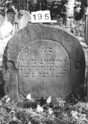Grabstein 195