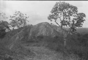 Granitfels : Bergige Landschaft mit Granitfelsen und Bäumen