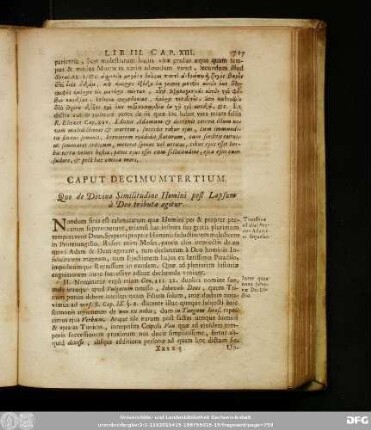 Caput Decimumtertium. Quo de Divina Similitudine Homini post Lapsum à Deo tributa agitur.