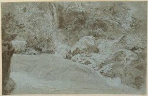 Gebirgsfluss zwischen bewachsenen Felsen