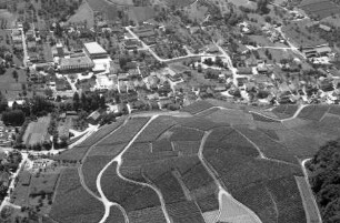 Durbach: Winzergenossenschaft