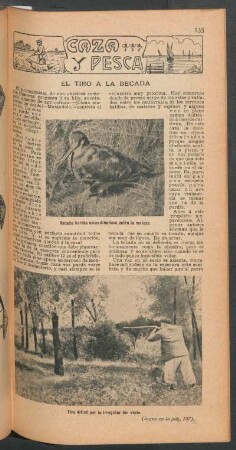 El tiro a la becada : Caza y pesca