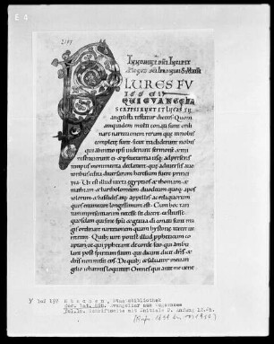 Evangeliar — Initiale P(lures), Folio 10recto