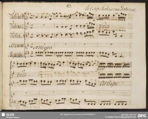 Artaserse. Excerpts - Mus.2973-F-34,12 : S, strings, bc