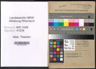 Entnazifizierung Theodor Abel , geb. 03.05.1900 (Ingenieur)