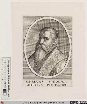 Bildnis Rembert Dodoens (lat. Dodonaeus)
