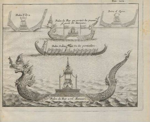 Fig. XIX.