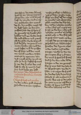 'Circa-instans' (Fragment, 49 Kapitel)
