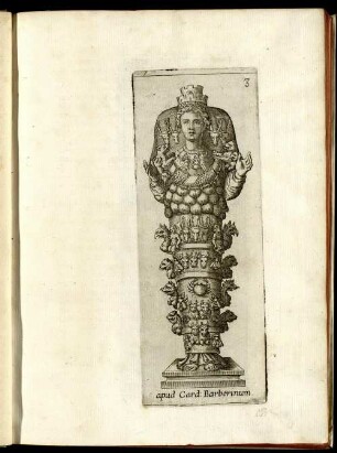 apud Card: Barberinum