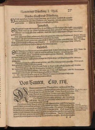 Von Rauten, Cap. XXII
