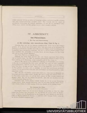 IV. Abschnitt. Das Planzeichnen.