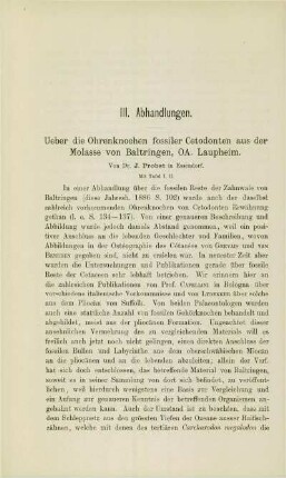 Über die Ohrenknochen fossiler Cetodonten aus der Molasse von Baltringen OA. Laupheim