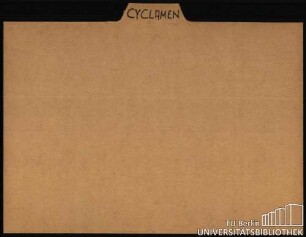 CYCLAMEN: Allgemein