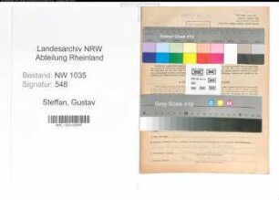 Entnazifizierung Gustav Steffan , geb. 07.04.1898 ()