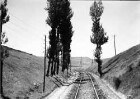 Saragossa/Zaragoza, Madrid [Spanien]: Zwischen Zaragoza und Madrid, aus dem Zug, Pappeln