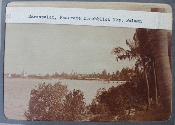 Dar es Salaam, panoramic view left palm trees