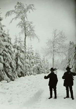 Altenberg, Schneeräumer auf der Straße nach Rehefeld