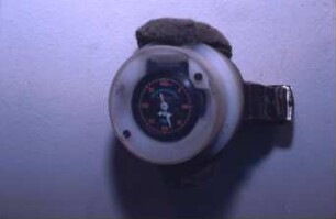 Fotografie: Informationstechnik, Sensortechnik, Tierverhalten, Pedometer