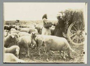 Sachsen. Szene zwischen Bäuerin und Schäfer auf dem Feld